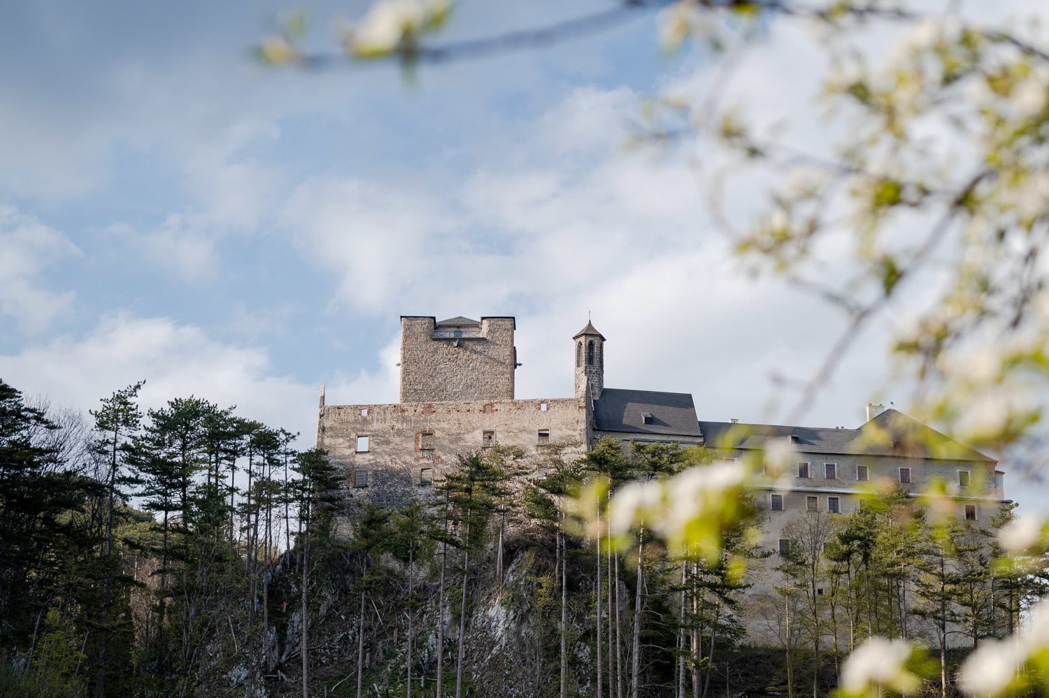 Blick auf die Burgruine Stixenstein vom Naturpark Sieding aus im April