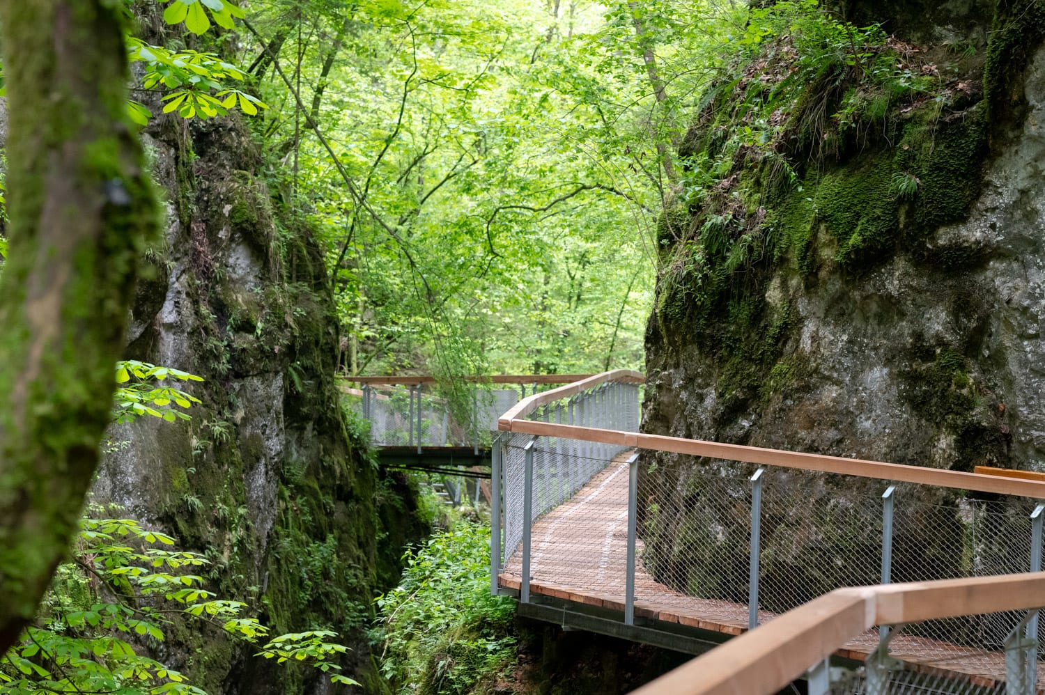 Johannesbachklamm in Würflach, neue Stege vor Felswand
