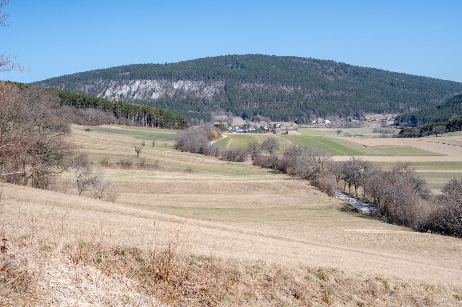 Gösing Startpunkt bei Mahrersdorf, Blick auf die Flatzer Wand