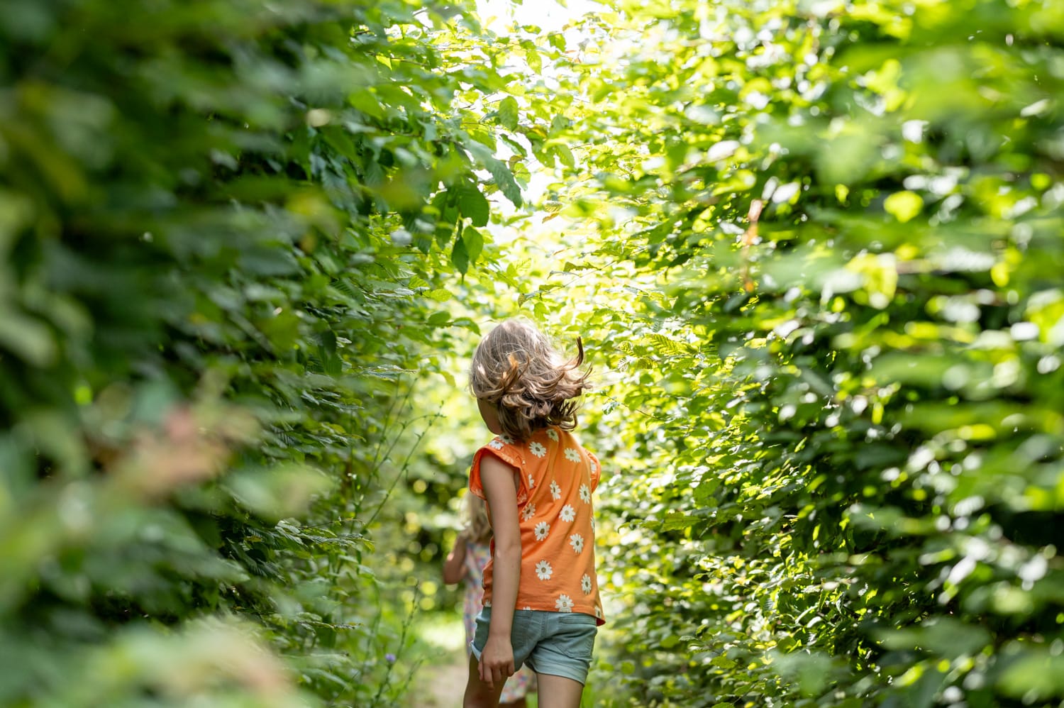 Kind läuft durchs Baumlabyrinth im Obstsortengarten bei Rohrbach bei Mattersburg