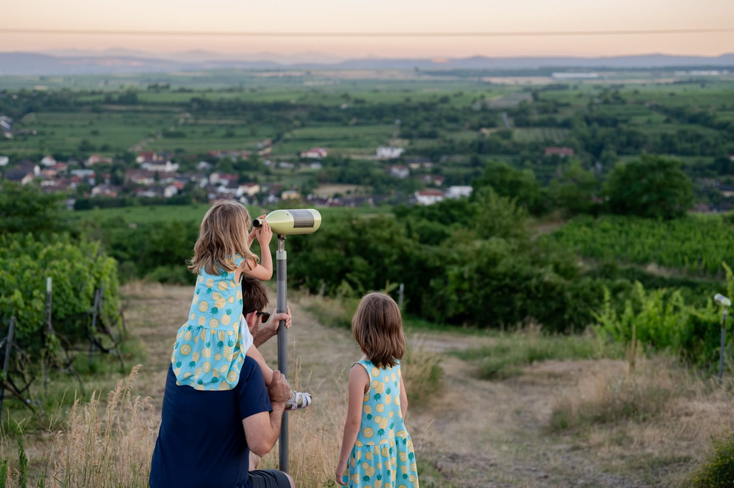 Familie am Weinweg Langenlois bei Sonnenuntergang