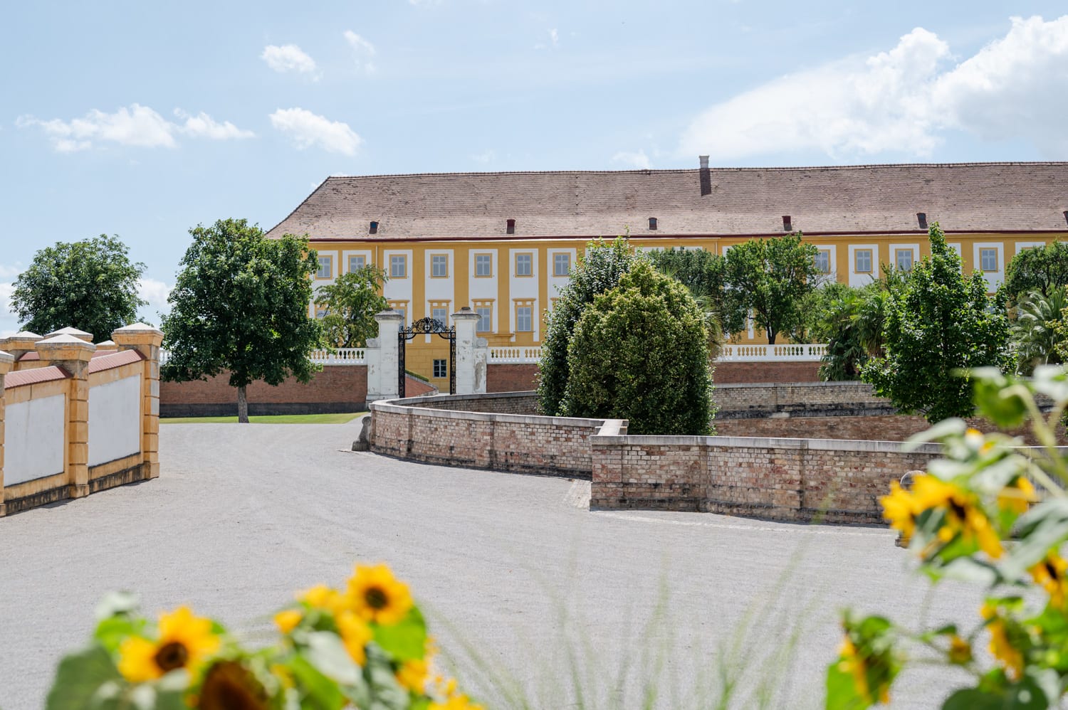 Blick auf Schloss Hof vom Gutshof aus mit Sonnenblumen, Sommer