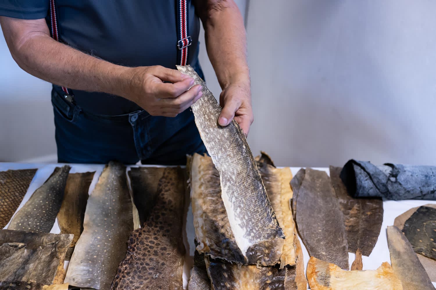 Fischhäute bei Yupitaze, Waldviertel