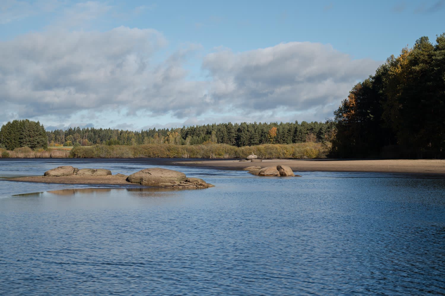 Abgelassener Bruneiteich, Heidenreichstein, Waldviertel