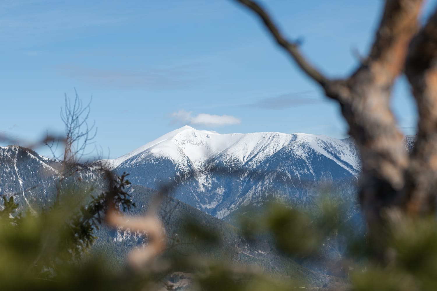 Blick auf den Schneeberg von der Luckerten Wand