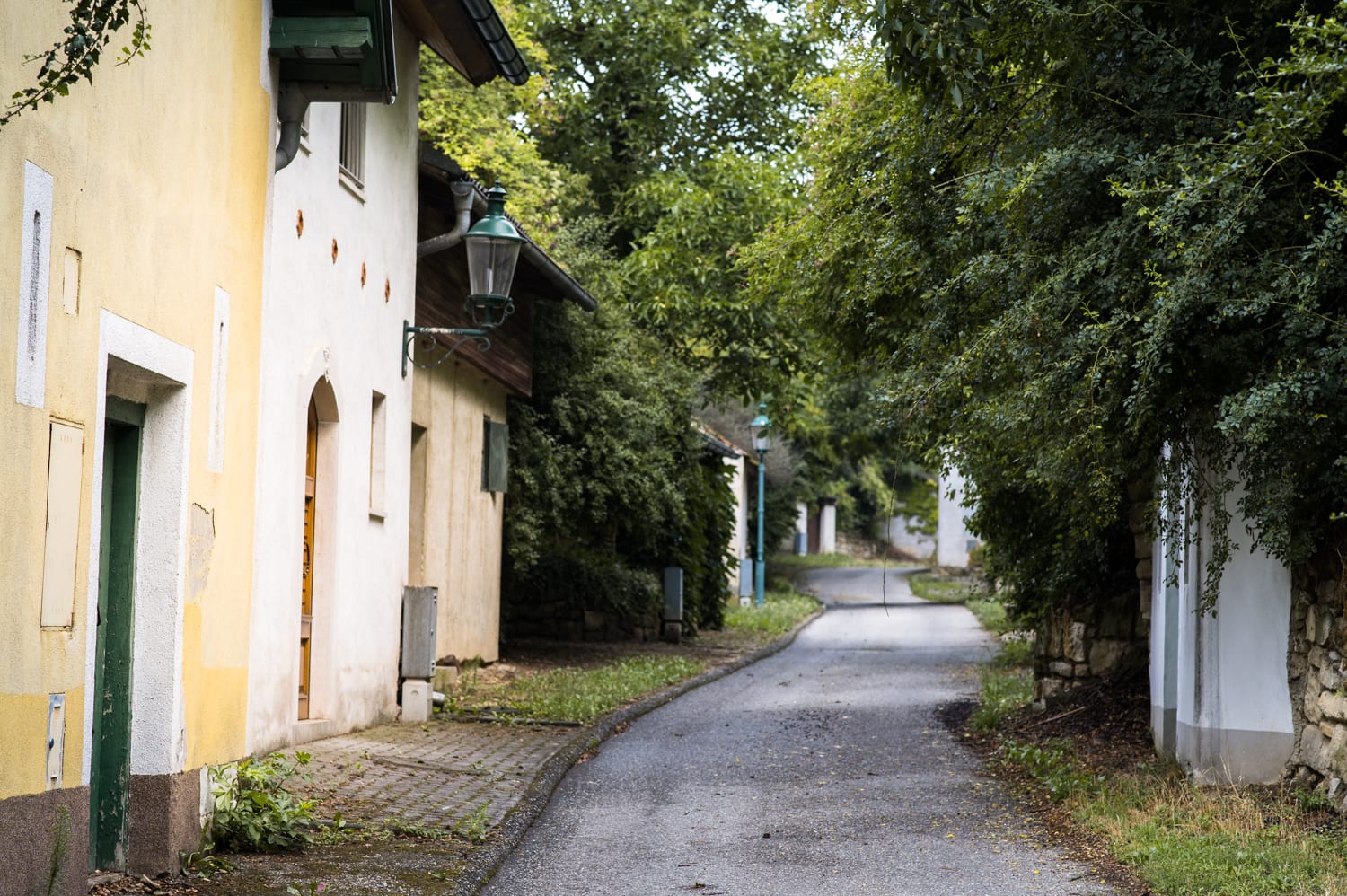 Kellergasse in Göttlesbrunn, Niederösterreich