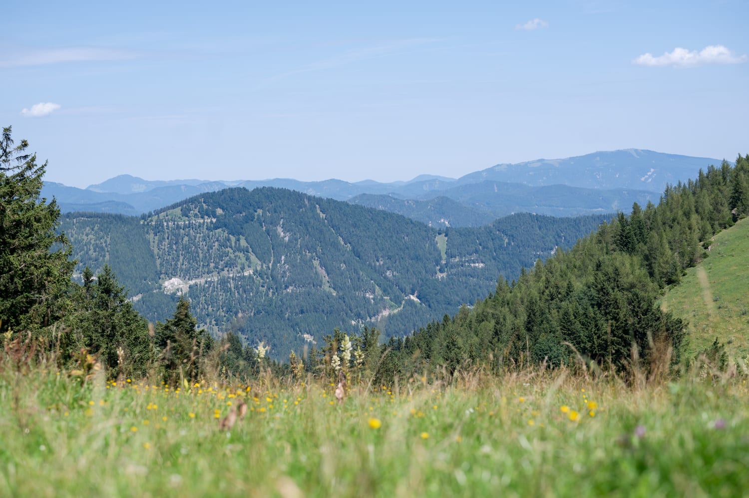 Bergwelt am Fadensattel am Schneeberg im Sommer