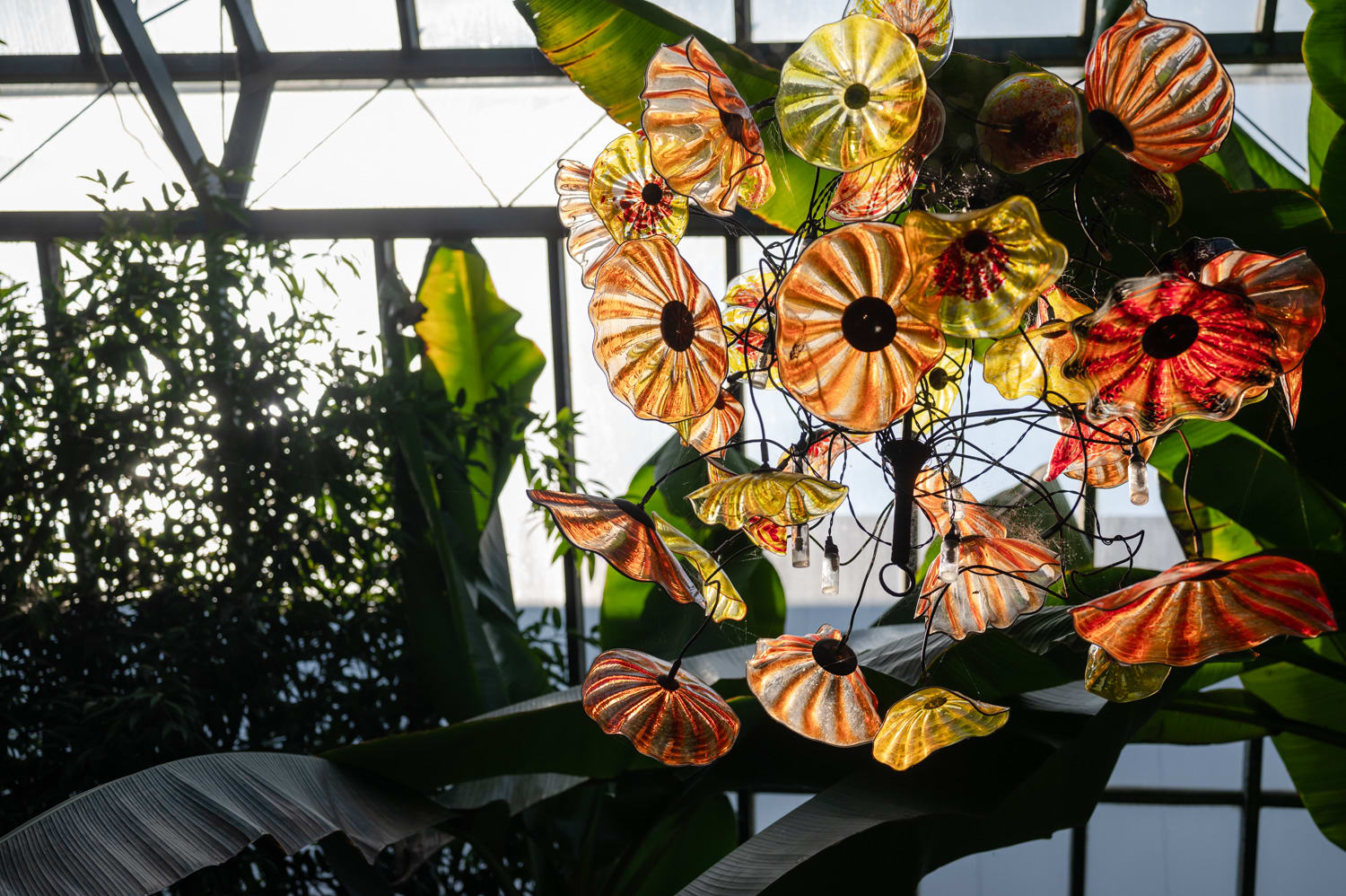 Glasblumen im Palmenhaus der Gläsernen Burg in Weigelsdorf
