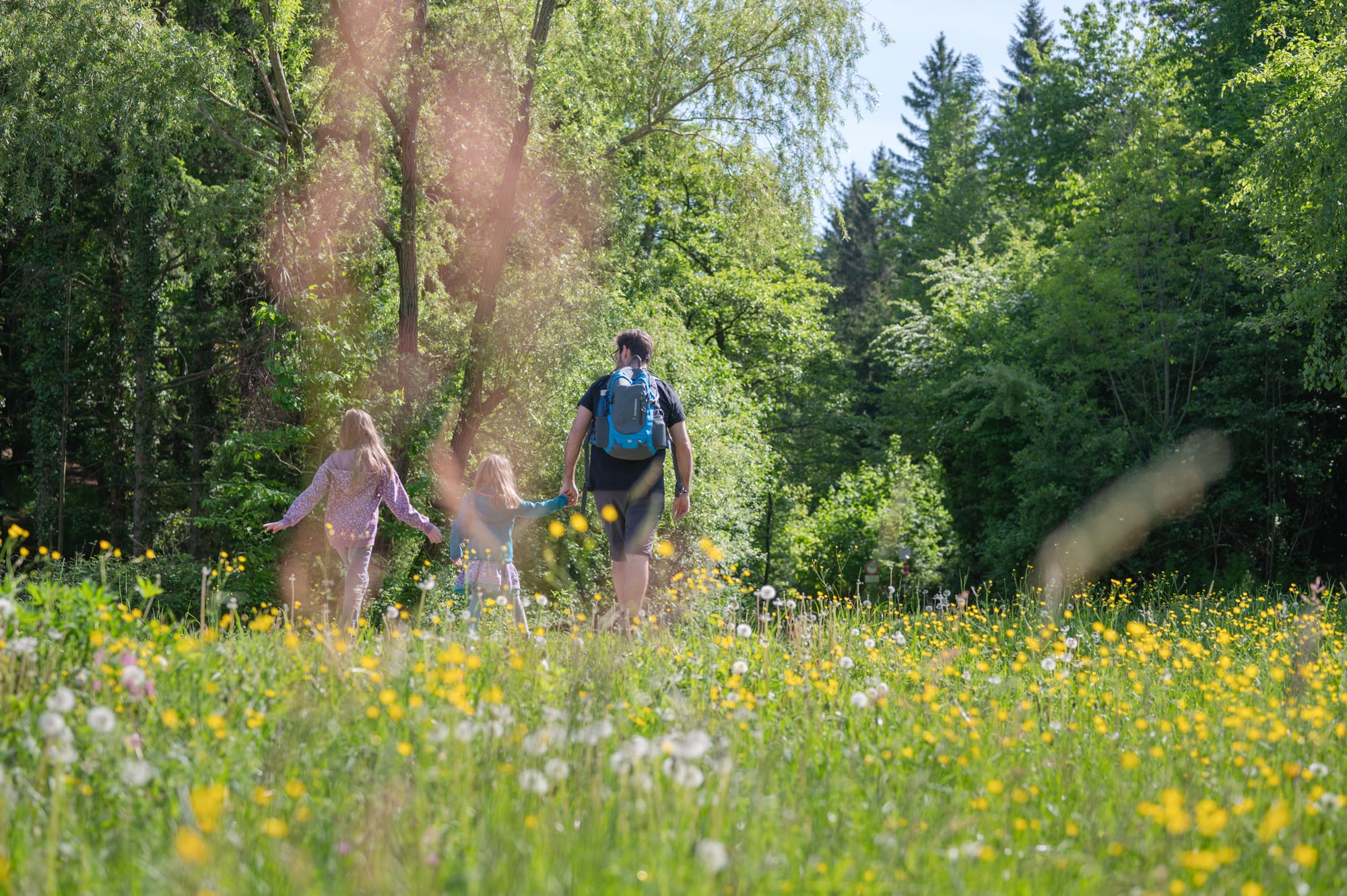 Familie wandern am Waldquellenewg bei Kobersdorf vor Blumenwiese