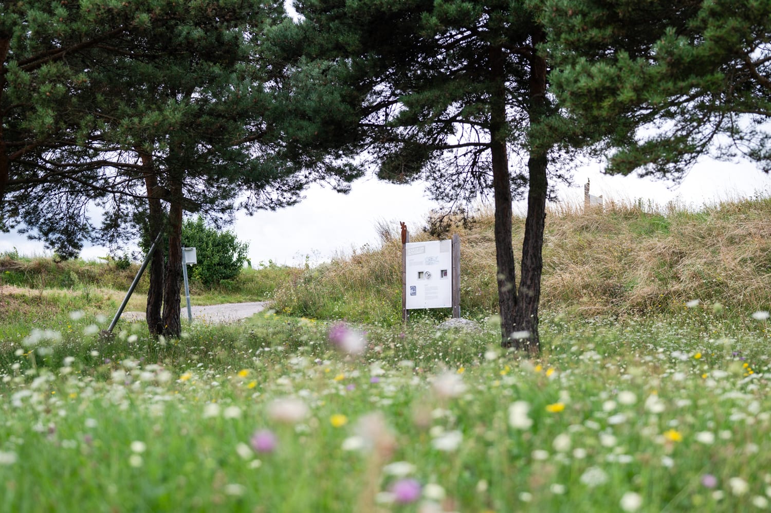 Eiszeitweg in Stratzing, Kremstal