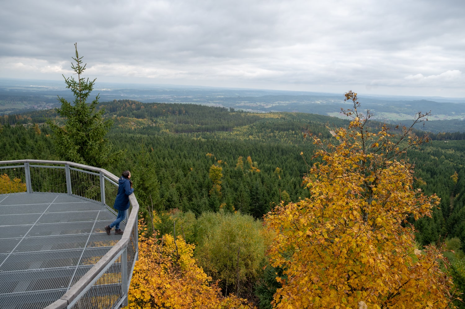 Aussicht auf der Nebelstein Warte im Waldviertel