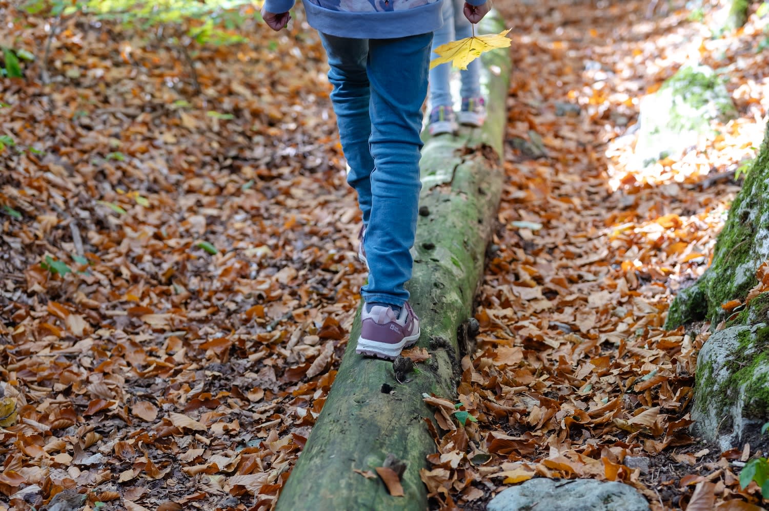 über Baumstämme balancieren, Größenberg, Fischauer Vorberge