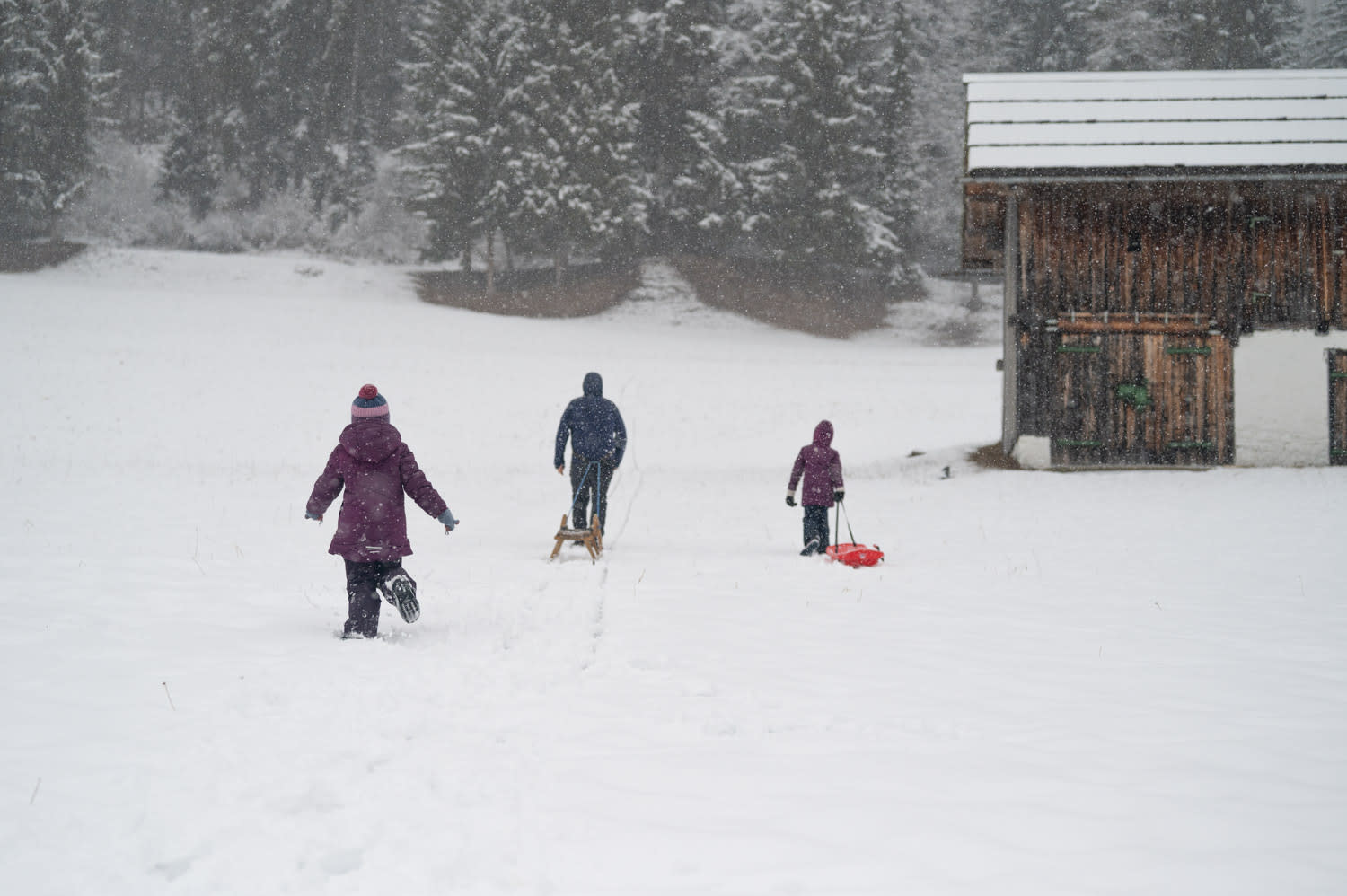 Familien mit Rodel und Bob im Schnee am Weißensee, Kärnten