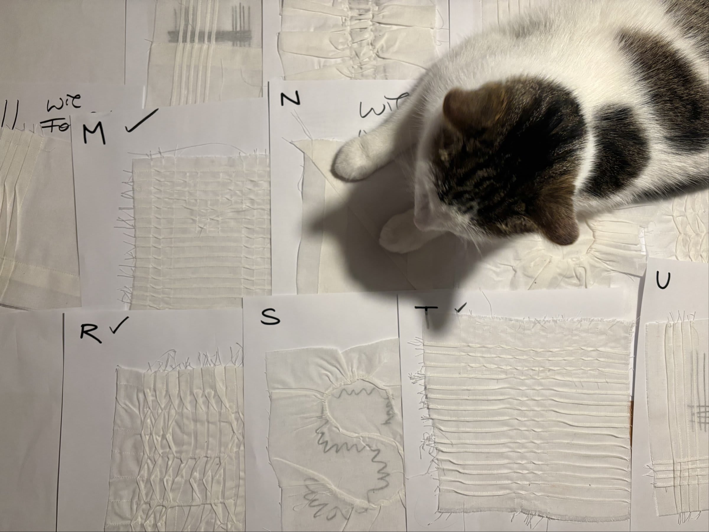 Fabric Forms composition