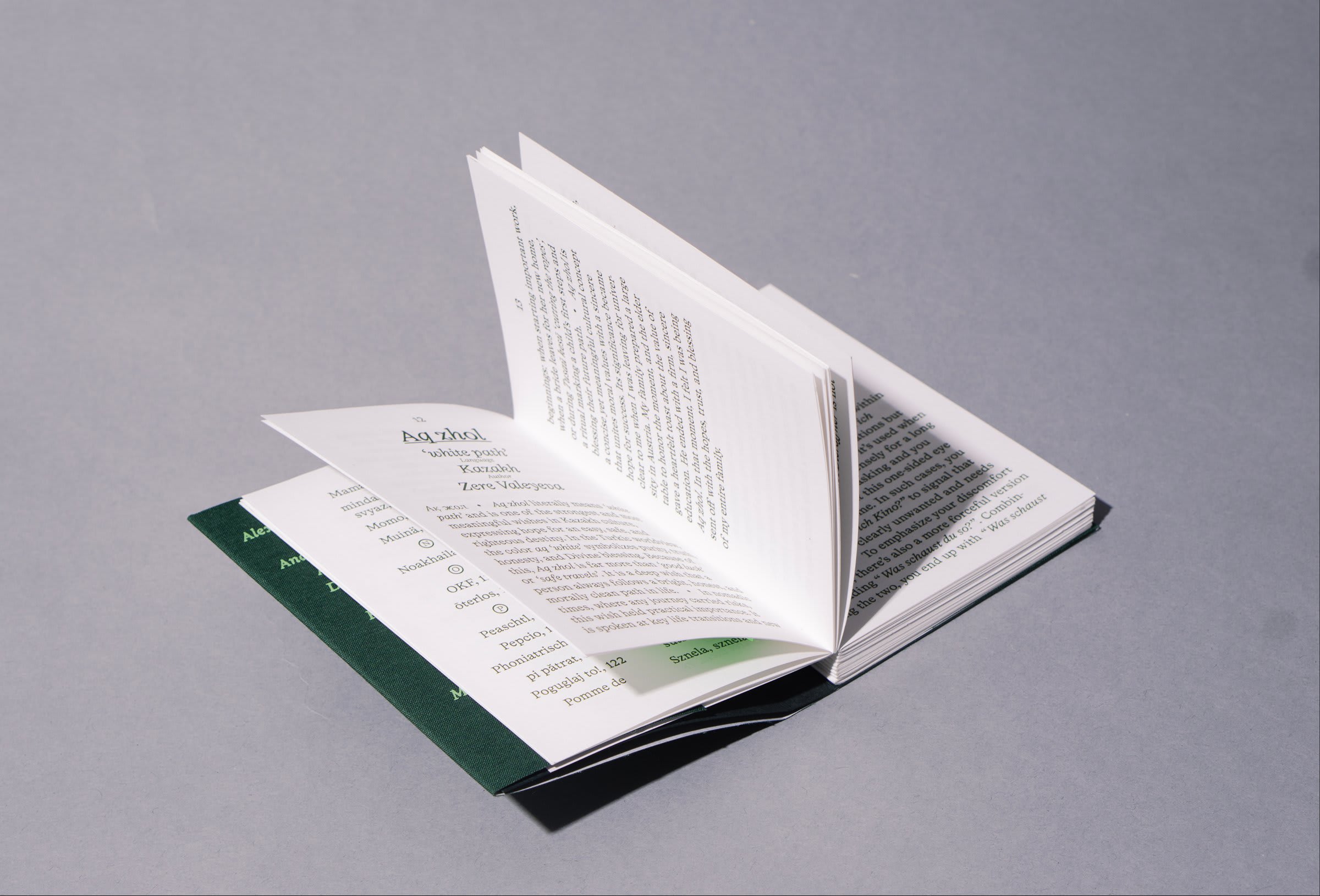 Family Lexicon spread VIII