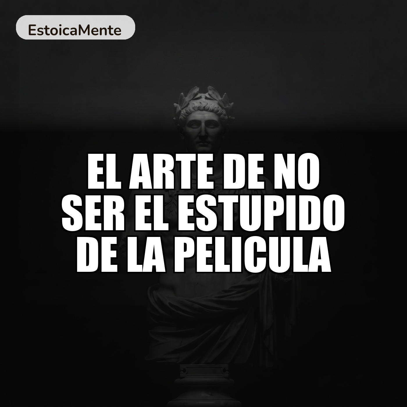 EL ARTE DE NO SER EL ESTUPIDO DE LA PELICULA