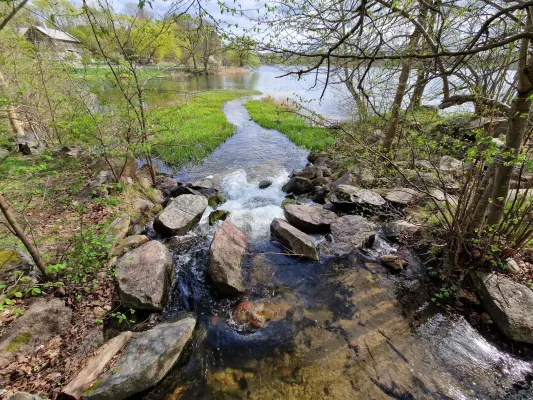 Dvariškas Lentvario "Kilimų" žygis