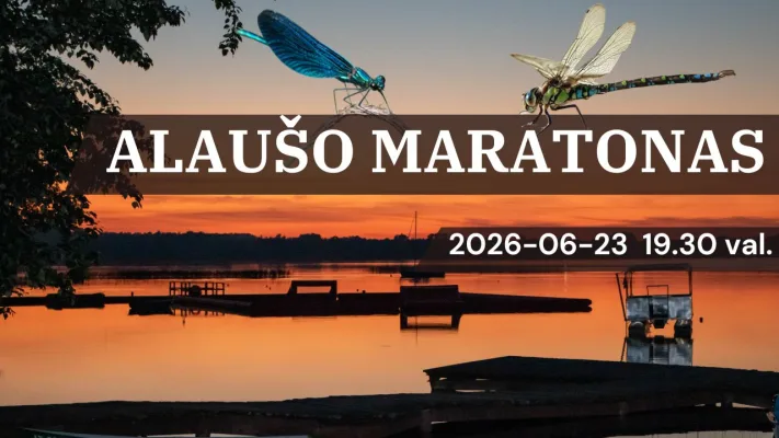 VI Alaušo maratonas