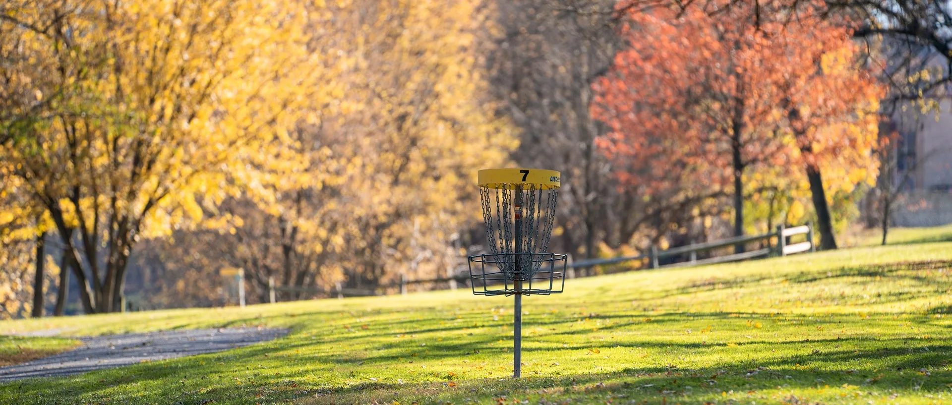 Kaip pradėti žaisti diskgolfą Lietuvoje: naujoko gidas į diskogolfą Lietuvoje