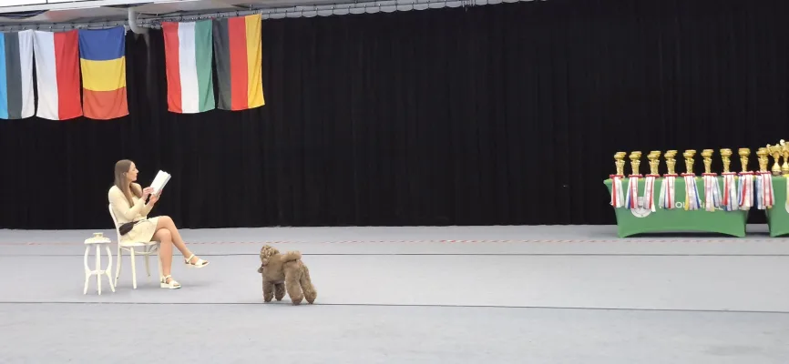 Šokių su šunimis varžybos (Dog dance competition) 2025.05.17