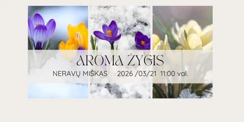 AROMA ŽYGIS