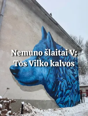 ŽYGIS NEMUNO ŠLAITAIS V: VILKIJOS ŽVALGAI 4 vietos