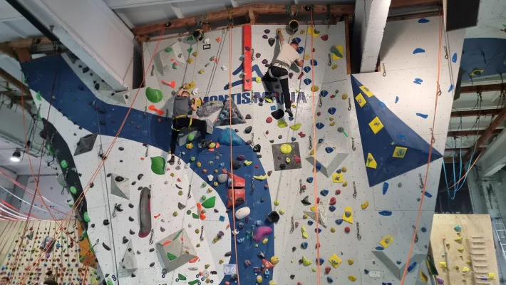Aukštos sienos I lygio mokymai. Saugojimas viršutine sauga (top rope)