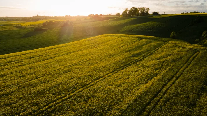 Žygis VON KARŠUVON