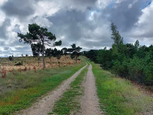 Terapinis žygis per kopas