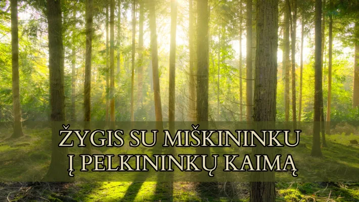 Pažintis su aukštapelke žydint švyliams