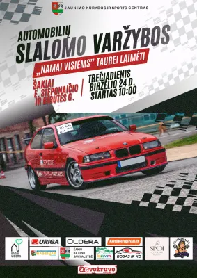 Automobilių slalomo varžybos