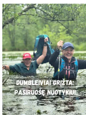 DUMBLEIVIŲ SUGRĮŽIMAS: KUR TU BRENDI? (GRUPĖ PILNA)