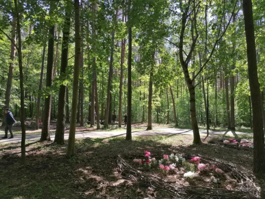 Vilniaus miesto orientavimosi sporto čempionatas