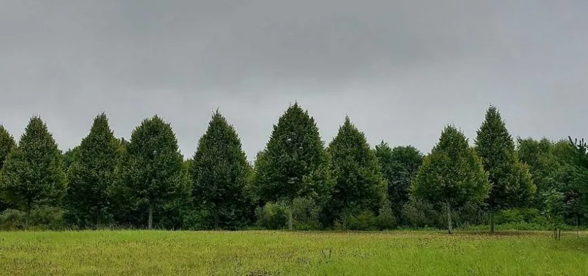 Populiariausio renginio 1 nuotrauka
