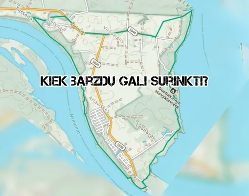 ŽYGIS: KIEK BARZDŲ GALI SURINKTI? 16/25