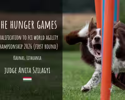 THE HUNGER GAMES - pirmasis atrankos į AWC 2026 etapas