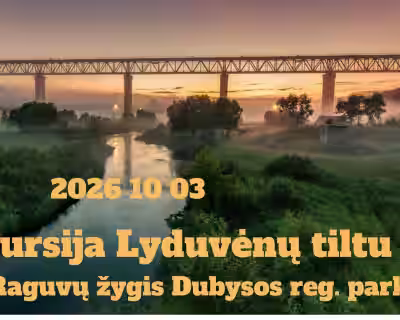 Ekskursija Lyduvėnų tiltu + 10 km Raguvų tako žygis Dubysos reg. parke