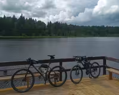Dviračių žygis Dubysos kalnais. Iki Kurtuvėnų ežeryno