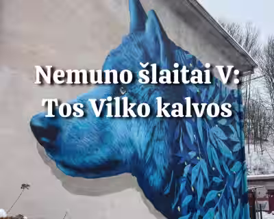ŽYGIS NEMUNO ŠLAITAIS V: VILKIJOS ŽVALGAI 4 vietos