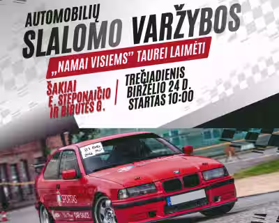 Automobilių slalomo varžybos