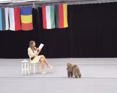 Šokių su šunimis varžybos (Dog dance competition) 2025.05.17