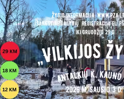 Vilkijos žygis
