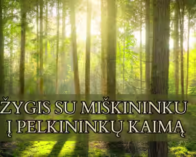 Pažintis su aukštapelke žydint švyliams