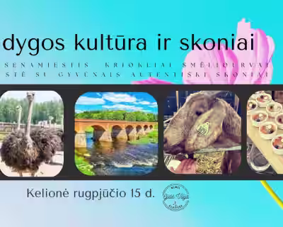 KULDYGOS KULTŪRA IR SKONIAI