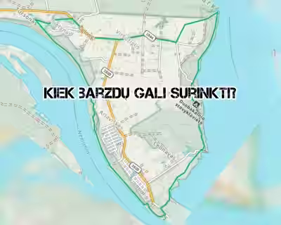 ŽYGIS: KIEK BARZDŲ GALI SURINKTI? 16/25