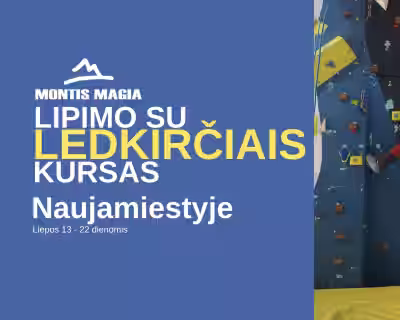 Lipimo su LEDKIRČIAIS kursas Naujamiestyje