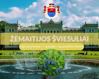 ŽEMAITIJOS ŠVIESULIAI: Oginskių dvarai-Lopaičiai-sausmedžio skonis