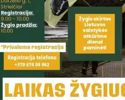 Žygis "Lietuvos valstybės atkūrimo dienai paminėti"