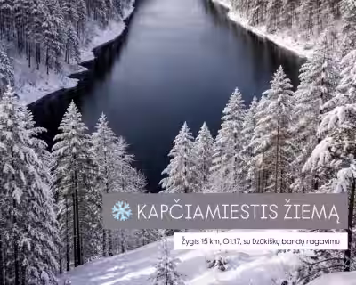 KAPČIAMIESTIS ŽIEMĄ: žygis miškais, kalvomis, šalia ežerų (su Dzūkiškų bandų ragavimu)