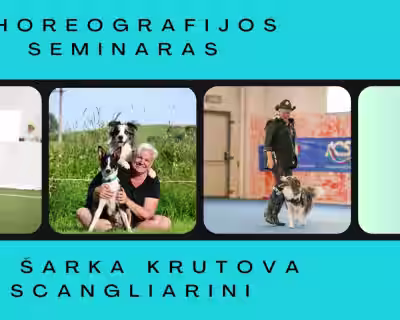 Dog dance teorinis ir praktinis seminaras su Šarka Krutova Scangliarini vasario 28 d.